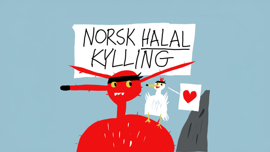 Norsk Halal Kylliing 2